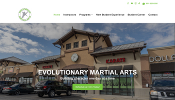 Evolutionary Martial Arts